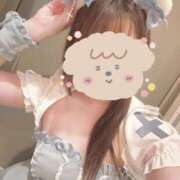 ヒメ日記 2025/11/13 08:10 投稿 さつき ドリーム水戸