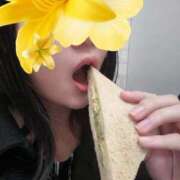 ひばり ホテル艶、402のお兄さんへ オナクラ大人女子