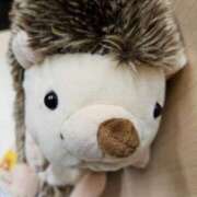 佐々木奏多 相棒 五十路マダム 新潟店(カサブランカグループ)