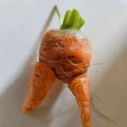 ヒメ日記 2025/12/14 08:54 投稿 佐々木奏多 五十路マダム 新潟店(カサブランカグループ)