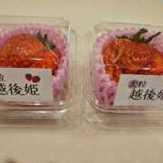 ヒメ日記 2026/03/31 10:10 投稿 佐々木奏多 五十路マダム 新潟店(カサブランカグループ)