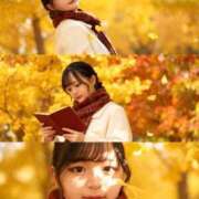 ヒメ日記 2025/11/03 11:09 投稿 のん 丸妻 横浜本店