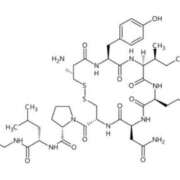 ヒメ日記 2025/10/26 19:54 投稿 かより いざ候 別館