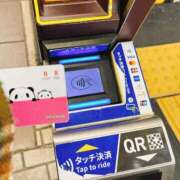 ヒメ日記 2025/11/24 12:04 投稿 かより いざ候 別館