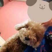 ヒメ日記 2025/12/09 20:14 投稿 かより いざ候 別館