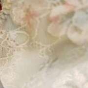 ヒメ日記 2025/12/16 12:54 投稿 かより いざ候 別館