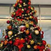 ヒメ日記 2025/12/21 22:34 投稿 かより いざ候 別館