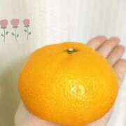 ヒメ日記 2025/12/29 22:04 投稿 かより いざ候 別館