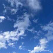 ヒメ日記 2026/02/19 11:34 投稿 かより いざ候 別館