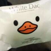 ヒメ日記 2026/02/26 11:54 投稿 かより いざ候 別館