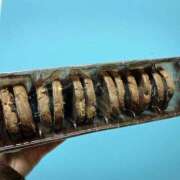 ヒメ日記 2026/03/01 21:04 投稿 かより いざ候 別館