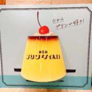 ヒメ日記 2026/03/10 09:14 投稿 かより いざ候 別館