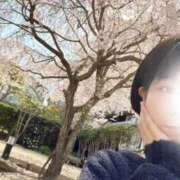 ヒメ日記 2026/04/02 15:58 投稿 かより いざ候 別館