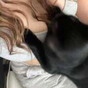 りんか ウチのネコ😸 ドMバスターズ 京都店