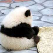 ヒメ日記 2025/10/03 11:41 投稿 もも 熟女の風俗最終章 宇都宮店