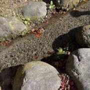 もも おはようございます🔆｡° 熟女の風俗最終章 宇都宮店