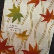 ヒメ日記 2025/12/07 11:44 投稿 英麗南 東京人妻フォーシーズンズ