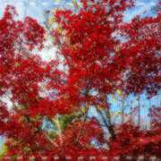 ヒメ日記 2025/11/26 18:31 投稿 富美加 ミセスラウンジ東京