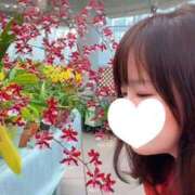 ヒメ日記 2025/11/22 07:15 投稿 もも 池袋夢幻