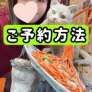 ヒメ日記 2026/01/11 20:15 投稿 もも 池袋夢幻