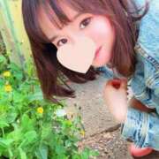 ヒメ日記 2026/02/17 10:07 投稿 もも 池袋夢幻