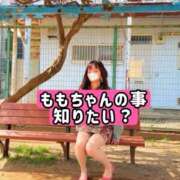 ヒメ日記 2026/03/18 20:15 投稿 もも 池袋夢幻