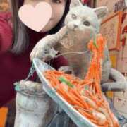 ヒメ日記 2026/04/08 20:15 投稿 もも 池袋夢幻