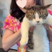 ヒメ日記 2026/04/16 22:07 投稿 もも 池袋夢幻