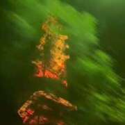 ヒメ日記 2025/11/29 01:39 投稿 花村るるか ザイオン 会員制アロマエステ