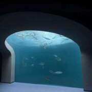 ヒメ日記 2025/10/02 09:29 投稿 もち スピードエコ日本橋店