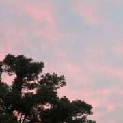 ヒメ日記 2025/10/08 21:49 投稿 もち スピードエコ日本橋店