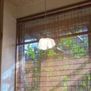 ヒメ日記 2025/10/15 22:19 投稿 もち スピードエコ日本橋店