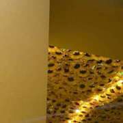 ヒメ日記 2025/10/26 15:19 投稿 もち スピードエコ日本橋店