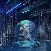 ヒメ日記 2025/10/27 22:19 投稿 もち スピードエコ日本橋店