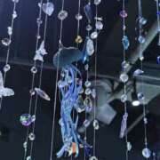 ヒメ日記 2025/10/30 09:59 投稿 もち スピードエコ日本橋店