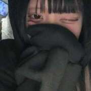 ヒメ日記 2025/10/30 19:59 投稿 ぷりん サティアンまーと