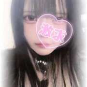 ヒメ日記 2025/11/05 23:49 投稿 ぷりん サティアンまーと