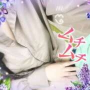 黒田★ 🐾🐾 プリマドンナ