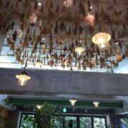 かりん たまには癒しを 成田人妻花壇