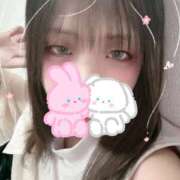 ヒメ日記 2025/10/19 17:39 投稿 カルミア 飾窓