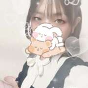 ヒメ日記 2025/10/19 18:35 投稿 カルミア 飾窓