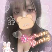 ヒメ日記 2025/10/22 10:00 投稿 カルミア 飾窓