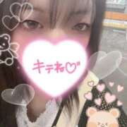 ヒメ日記 2025/10/22 15:00 投稿 カルミア 飾窓