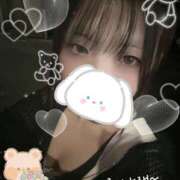 ヒメ日記 2025/10/23 10:05 投稿 カルミア 飾窓