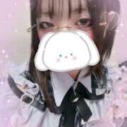 ヒメ日記 2025/10/23 16:39 投稿 カルミア 飾窓