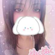 ヒメ日記 2025/10/24 12:13 投稿 カルミア 飾窓