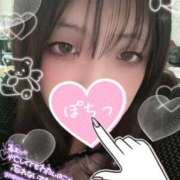 ヒメ日記 2025/10/24 23:52 投稿 カルミア 飾窓