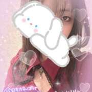 ヒメ日記 2025/10/27 00:03 投稿 カルミア 飾窓