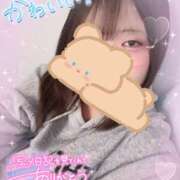 ヒメ日記 2025/10/28 09:31 投稿 カルミア 飾窓