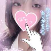 ヒメ日記 2025/10/30 10:42 投稿 カルミア 飾窓